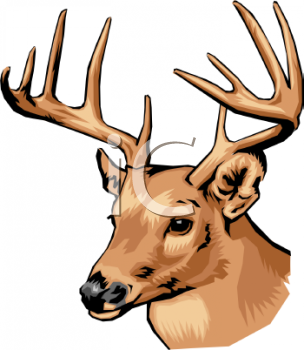 304x350 Buck Clipart