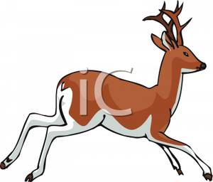300x256 A White And Brown Deer Clip Art Image