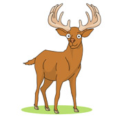 180x173 Elk Clip Art Clipart Collection