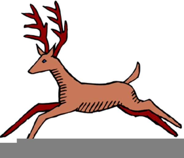 600x516 White Tail Deer Clipart Free Images