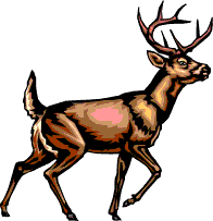 196x203 Deer Hunting Clipart Clipart Panda