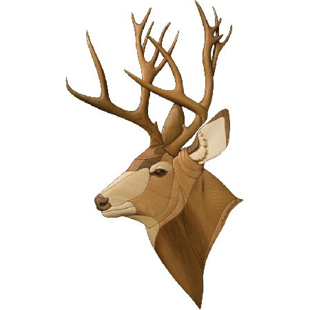 450x450 Collection Of Mule Deer Clipart High Quality, Free Cliparts