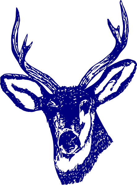 444x597 Deer Sea Clip Art