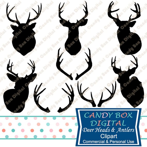 570x570 Deer Head And Antler Clipart Hunter Trophy Clip Art