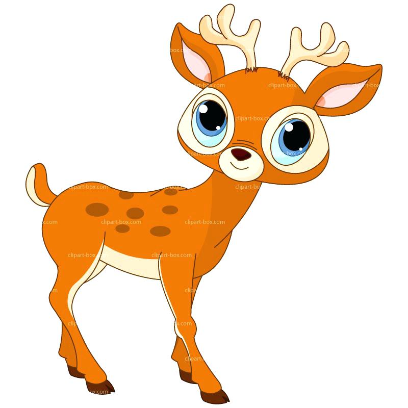 800x800 Free Deer Clipart Free Deer Images Free Clip Art Deer Silhouette