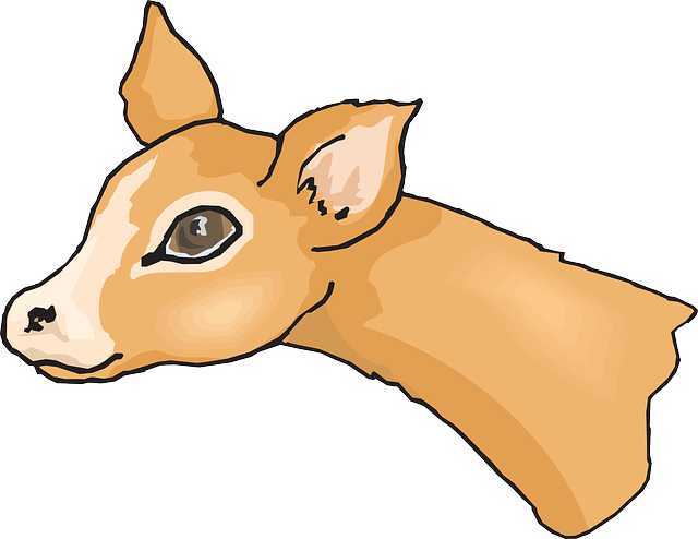 640x494 Stag Clipart