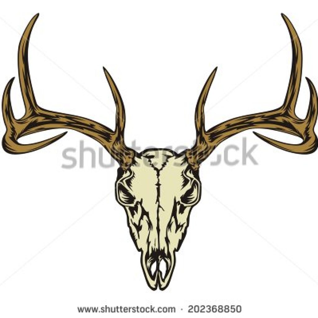 1024x1024 Deer Skull Vector Family Clipart