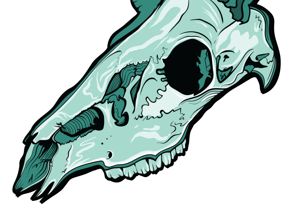 1000x720 Deer Skull Cody Johnson