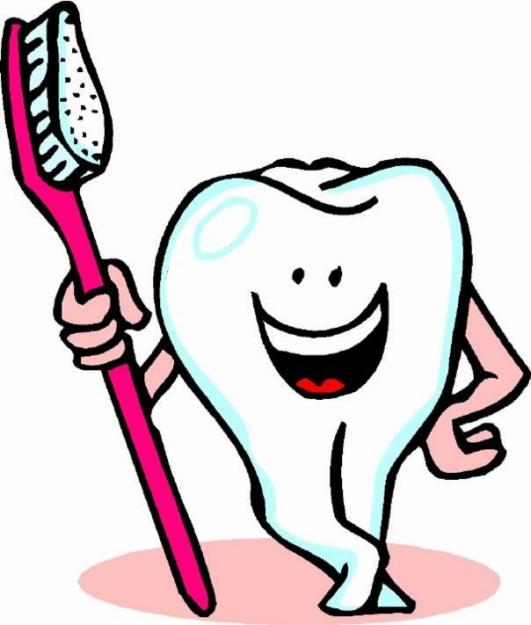 531x625 Collection Of Free Clipart Dental Health High Quality, Free
