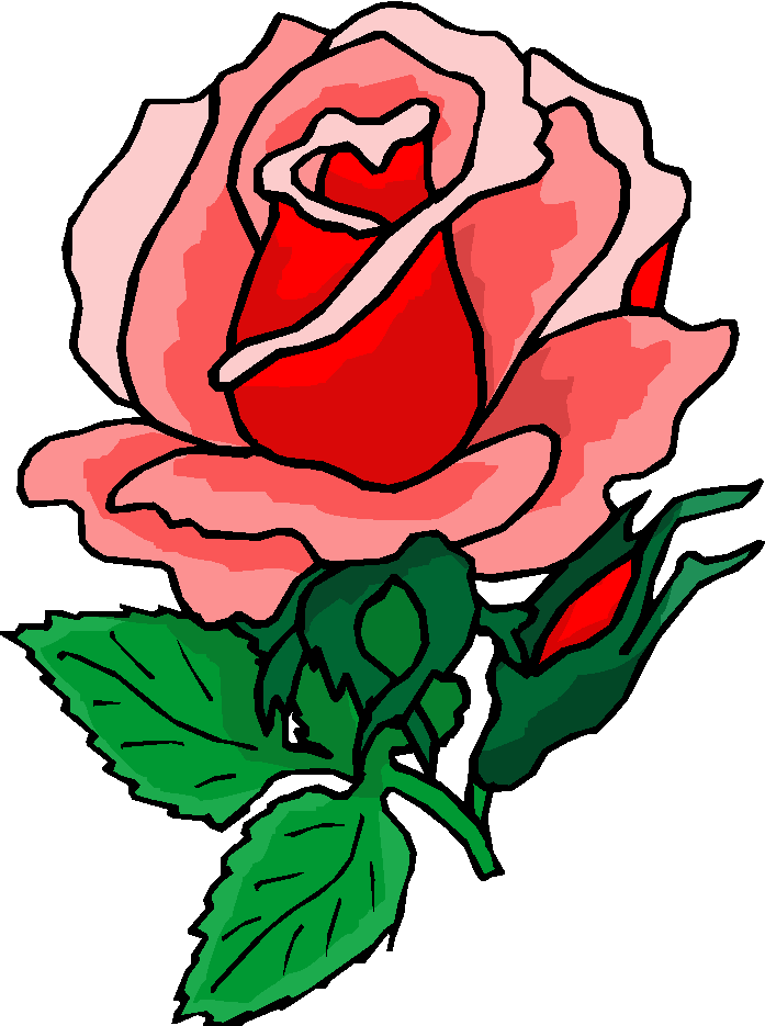 697x935 Rose Flower Rose Flower Images Clipart