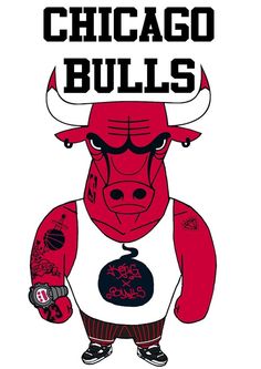 236x333 Chicago Bulls