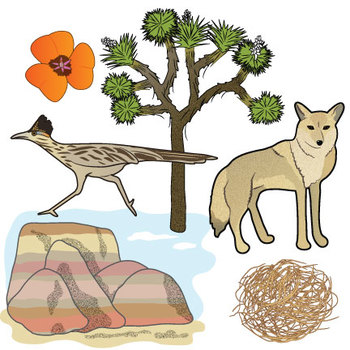 350x350 North American Desert Clip Art By Studio Devanna Tpt