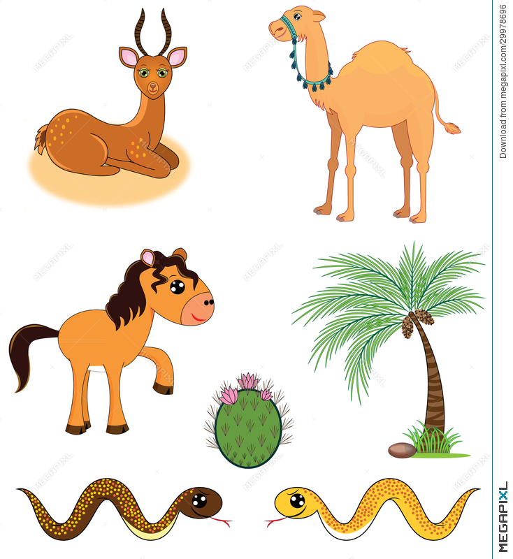 734x800 Set Of Desert Animals Illustration 29978696