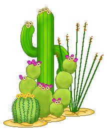 Desert Habitat Clipart