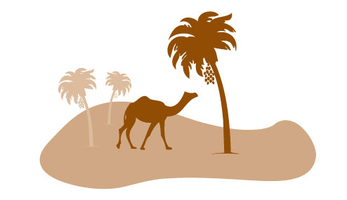 494x285 Over Yy Mobiel Yogi Amp Yousef Dadels Yogi Amp Yousef Dadels