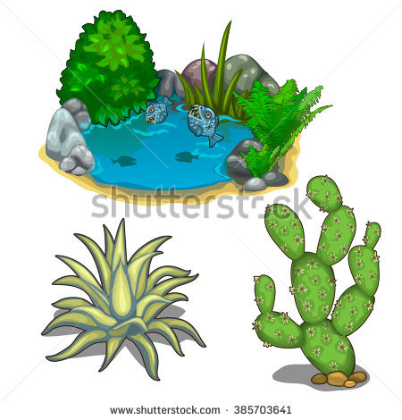 450x470 Cholla Cactus Clipart