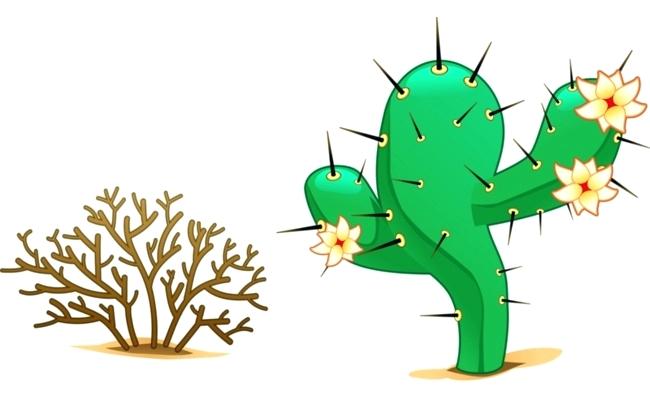 650x400 Desert Clip Art