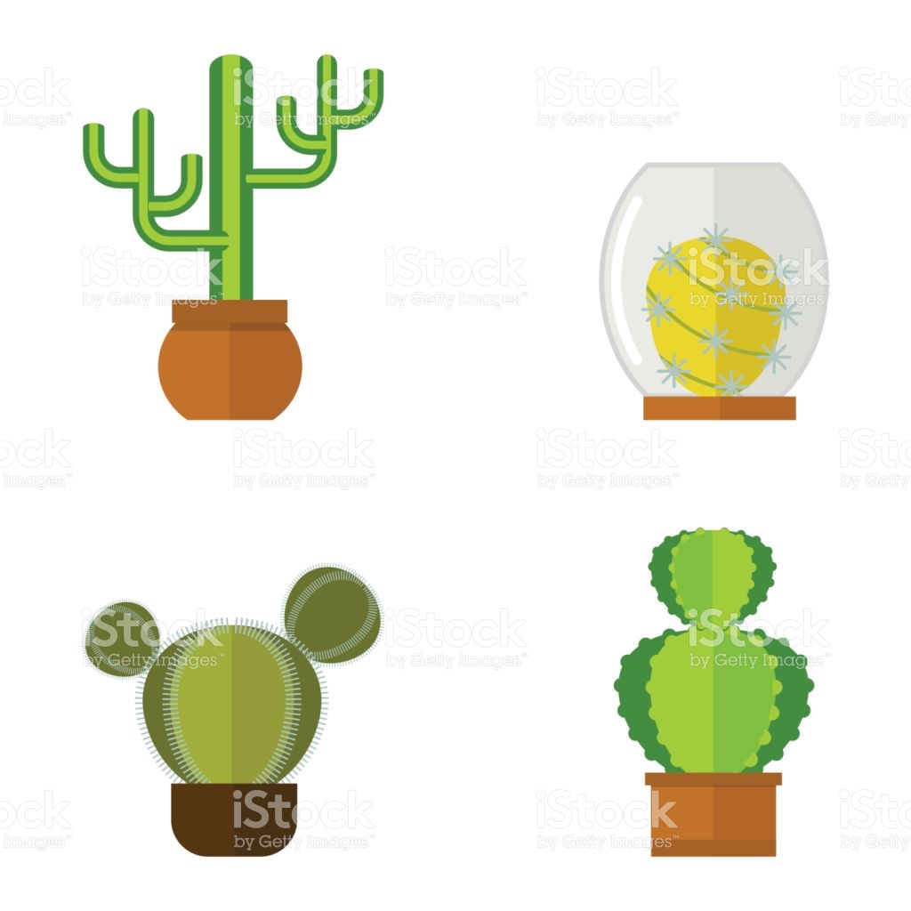 1024x1024 Cactus Clipart Mexico Food