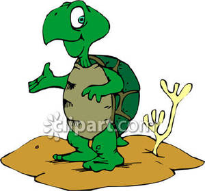 300x279 Desert Tortoise Clipart Clipart Panda