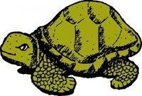 200x135 Free Download Of Tortoise Hare Vector Graphics And Illustrations
