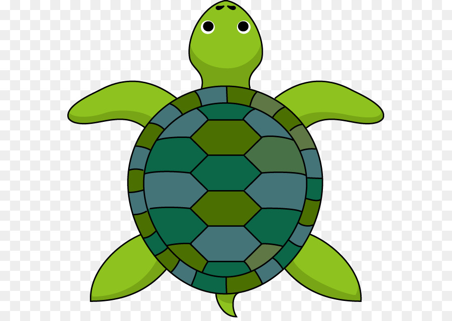 900x640 Turtle The Tortoise And The Hare Clip Art