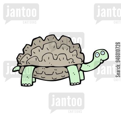 400x400 Testudinidae Cartoons