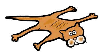 350x184 Roadkill The Detroit Lions And A Football Flashback From 2008