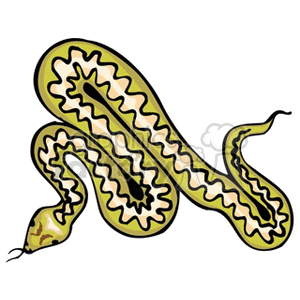300x300 Diamondbacks Snake Logo