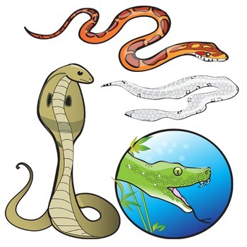 350x350 Snake Clip Art