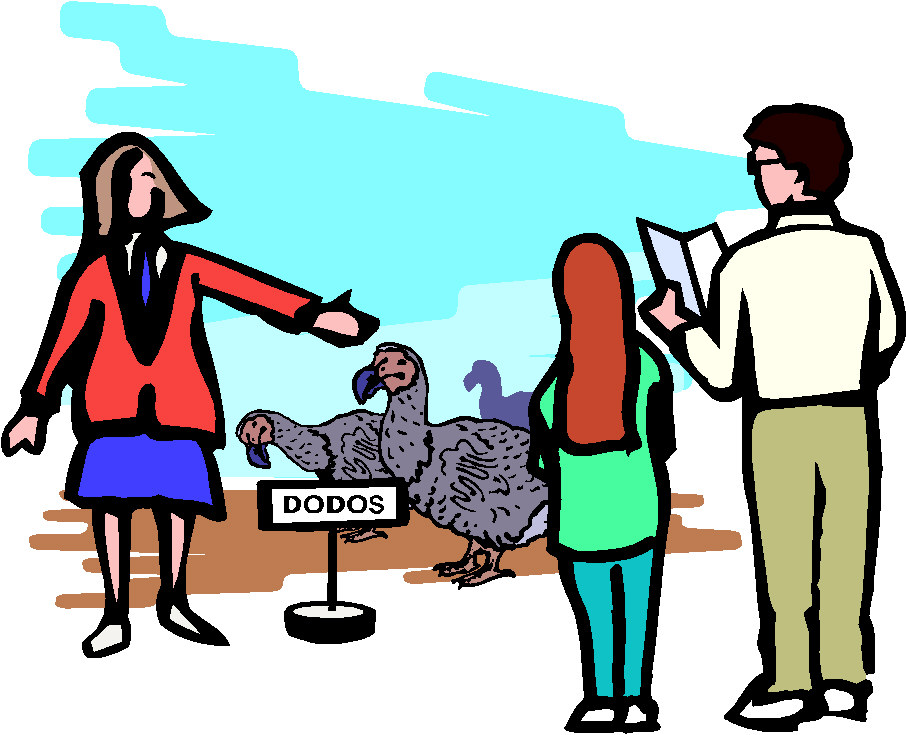 906x735 Clip Art Entertainment Zoo