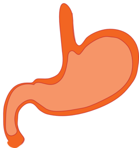 282x299 Gastrointestinal Cliparts