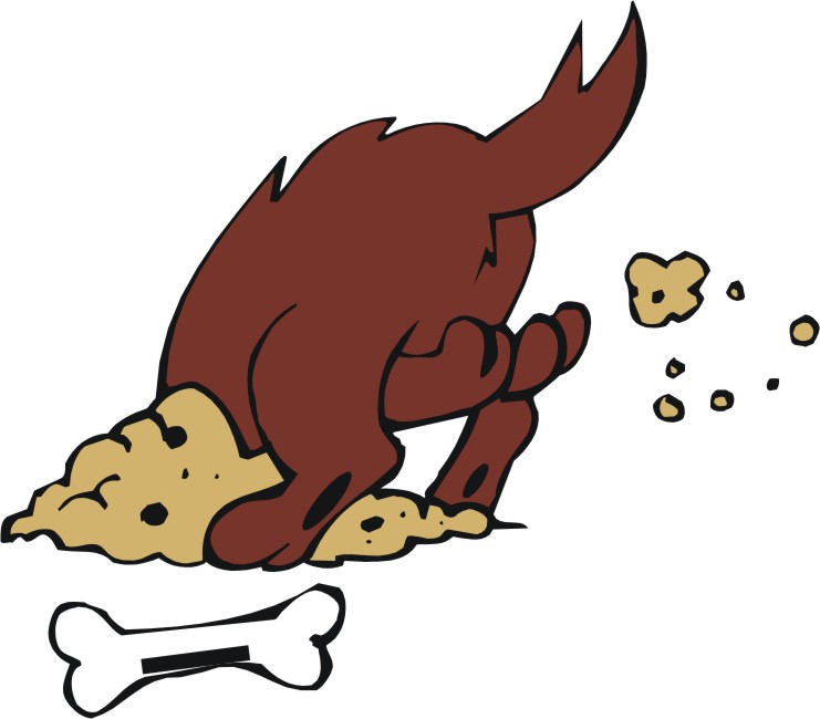 741x650 Dinosaur Bones Clipart