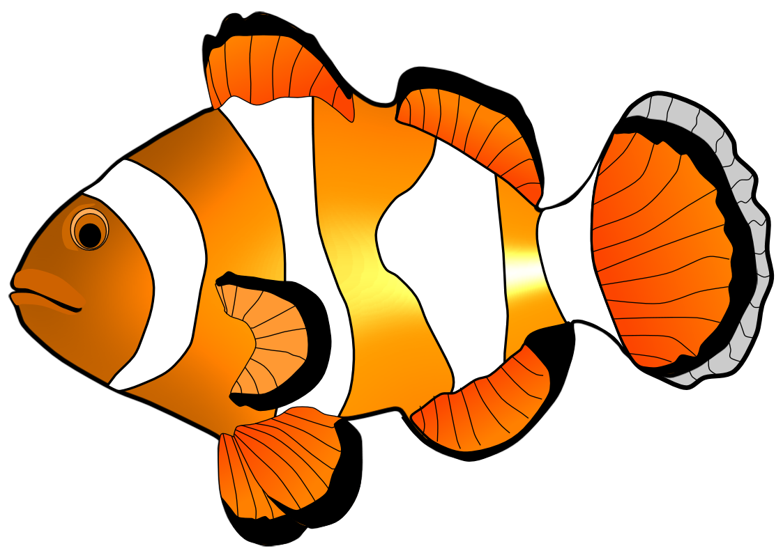 1123x794 Collection Of Nemo Fish Clipart High Quality, Free Cliparts