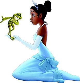 310x320 1pc Disney Princess And The Frog Drapery Panel Purple