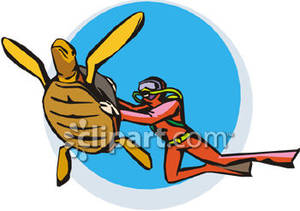 300x211 Person Scuba Diving With A Sea Turtle