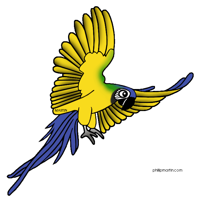 640x648 Rainforest Clipart