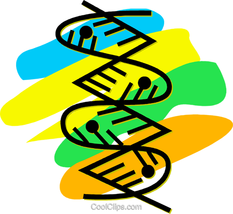 480x441 Dna Royalty Free Vector Clip Art Illustration Vc055918
