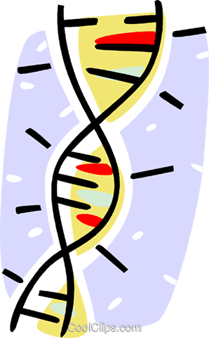 298x480 Dna Strands Royalty Free Vector Clip Art Illustration Vc061993
