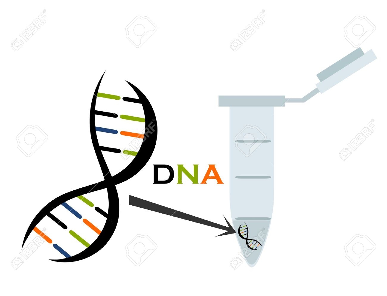 1300x995 Clip Art Dna In Test Tube Eppendorf Ty0udoi