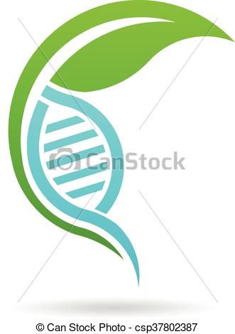 331x470 Vector Of Plant Dna Logo. Vector Graphic Design Csp37802387