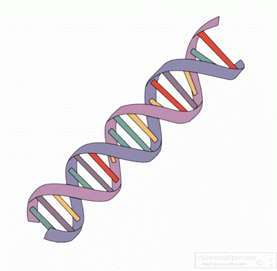 400x391 Awesome Dna Clipart Science
