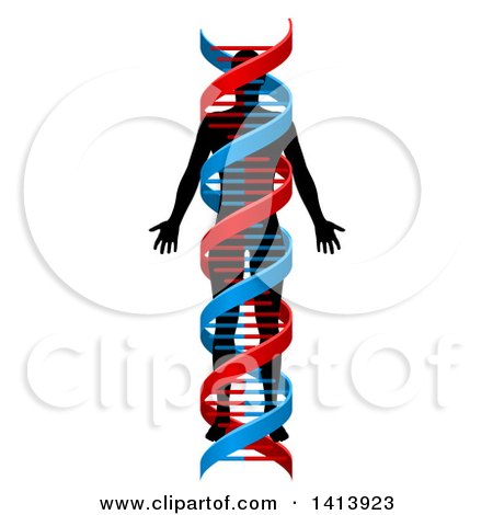 450x470 Clipart Of A 3d Gold And Silver Dna Double Helix