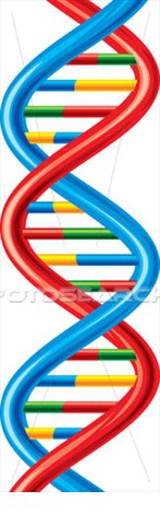 147x470 Dna Clipart Desktop Backgrounds