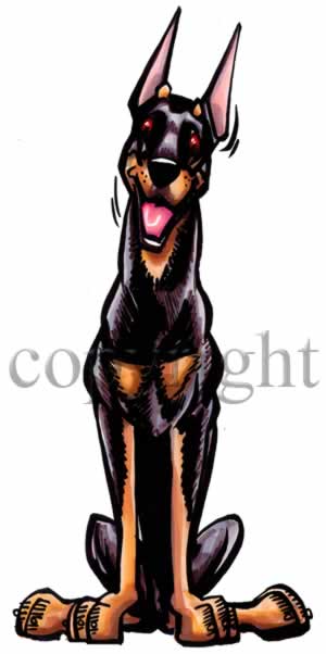 300x602 Doberman Pinscher