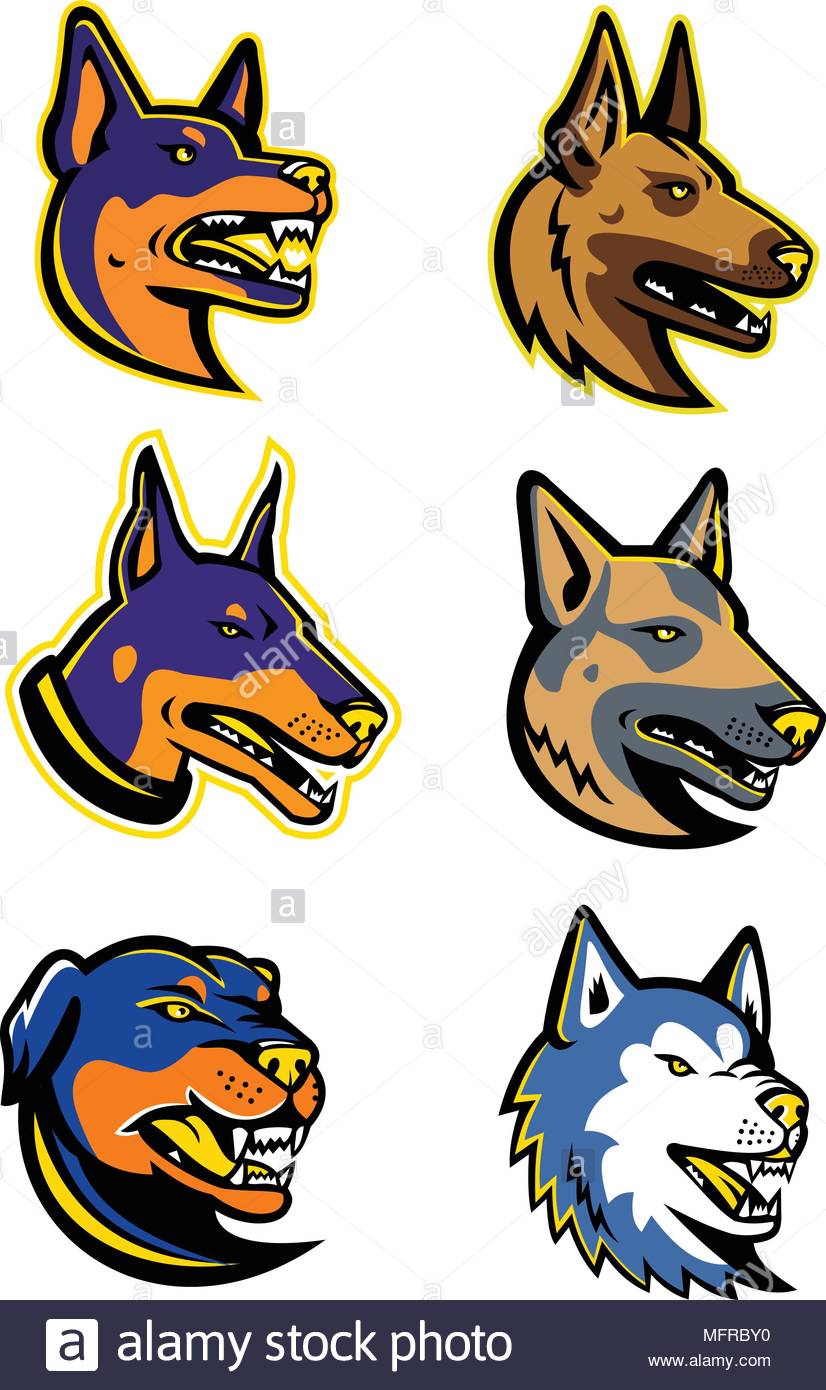 826x1390 German Shepherd Dogs Stock Vector Images