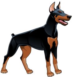 236x248 Doberman Pinscher Clip Art, Vector Images Amp Illustrations