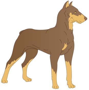 348x350 Free Doberman Vektor 1 Clipart And Vector Graphics