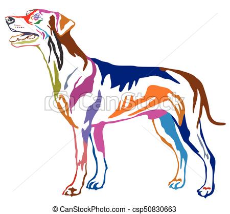 450x418 German Pinscher Vector Clipart Royalty Free. 109 German Pinscher