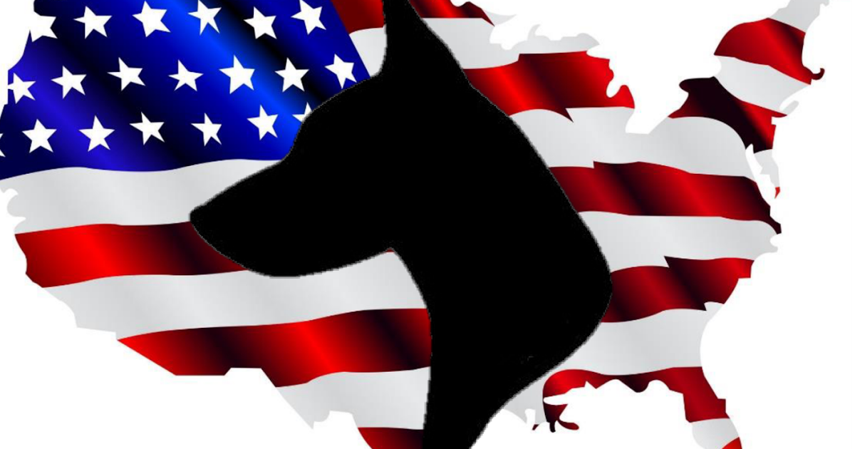 1200x630 United Doberman Rescue And Canine Castaways Of Minnesota Want