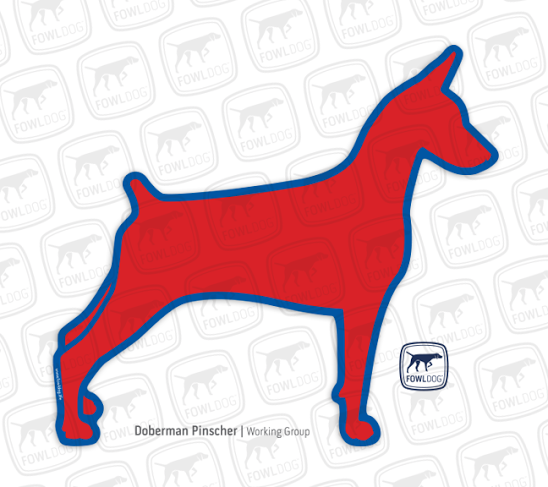 548x487 Doberman Decal